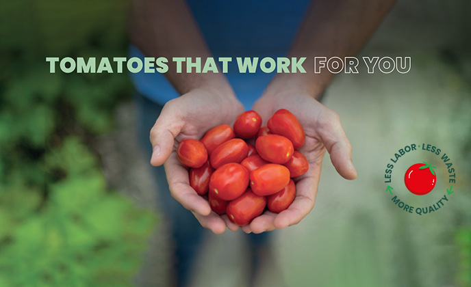 Presentamos «Tomates que trabajan para ti»: convirtiendo los desafíos en ventajas