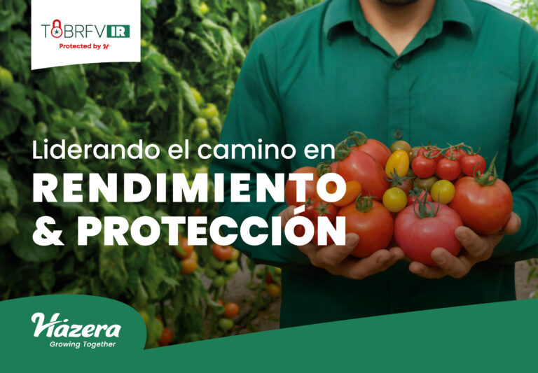 Liderando el camino en rendimiento y protección