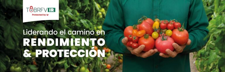 Liderando el camino en rendimiento y protección